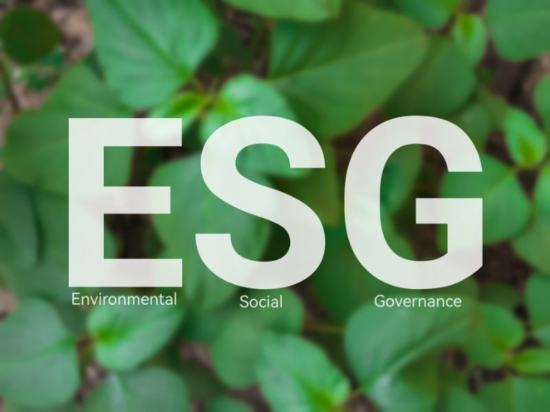 ESG Klimabericht Immobilien